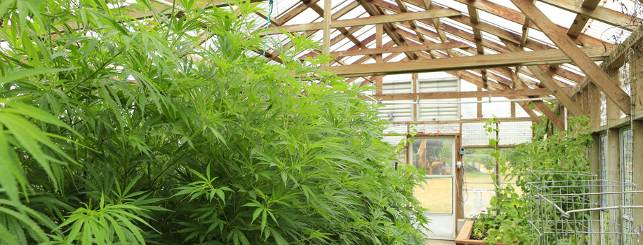 Security Solutions for Apartments in Keysville, GA